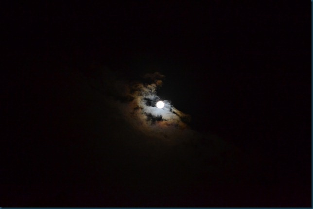 DSC_0535
