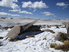 Well except the ones that had fallen over. Freezing cold at this place.