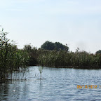IMG_7982.JPG