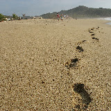 San Pancho