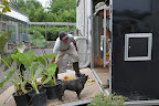 Moving Plants to Skylands