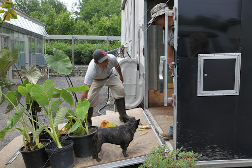 All right, guys!  Be careful while packing the trailer!  We need to get all of these plants to Skylands in tact!