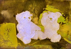 Split-Toned-Prints---Bears-2-F