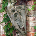 20100825_058_small.JPG