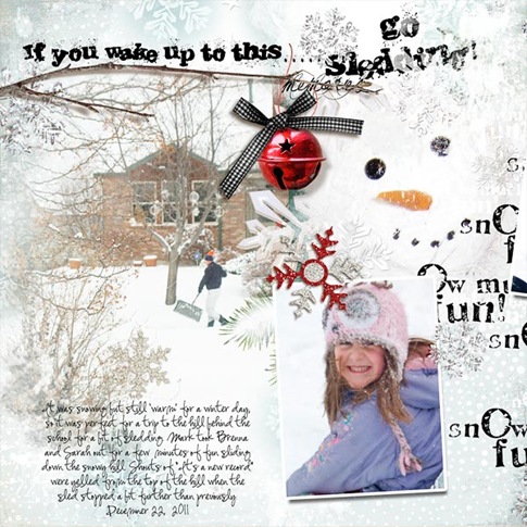 [Sledding_12221112.jpg]