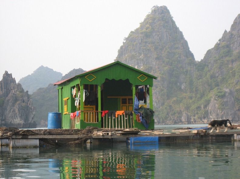 cat-ba-island-1 cat-ba-island-1
