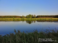 nadwarciańskie pejzaże