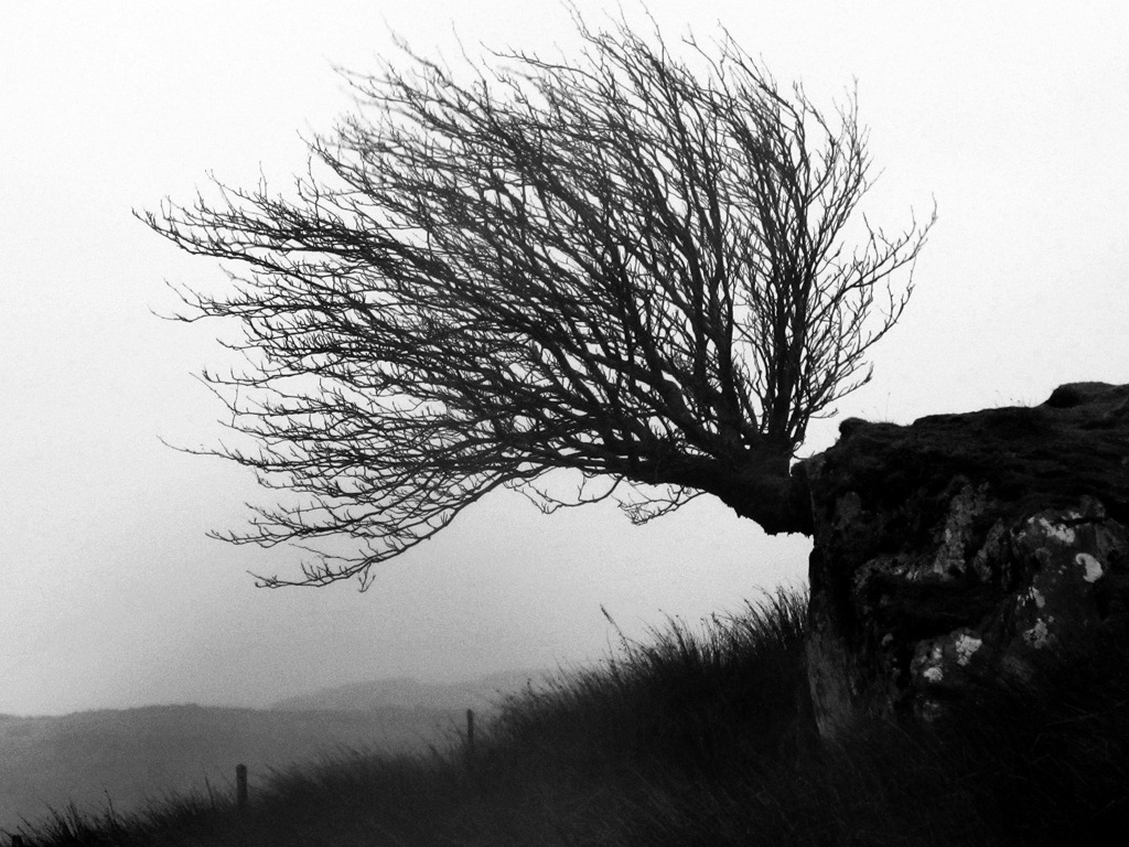 [IMG_0063_BW5.jpg]