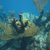  Scuba Dive Buck Island Reef