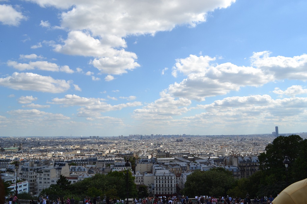 [DSC_25233.jpg]