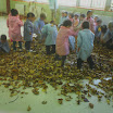 2013-10-23 13.45.44.jpg