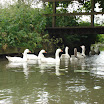 DSC03345.JPG