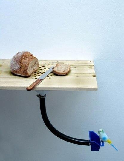 [526915_312661405505118_1016511603_n%255B5%255D.jpg]