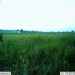 IMAG0143.JPG