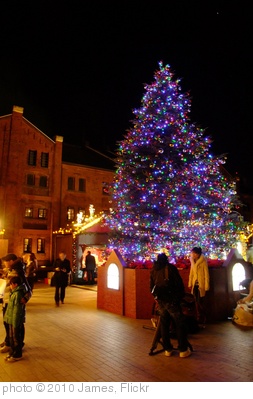 'christmas tree at aka renga' photo (c) 2010, James - license: http://creativecommons.org/licenses/by/2.0/
