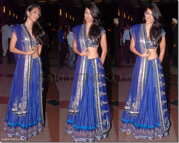 Preeti_Desai_Lehenga_Style_Saree
