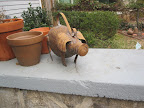 ..and more pigs!