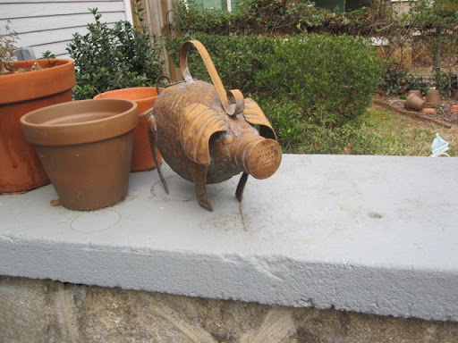 ..and more pigs!