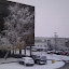 IMAG0181.jpg