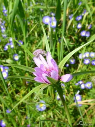 [P1030125%255B10%255D.jpg]