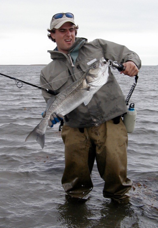 [fish%2520%252846%2529%255B4%255D.jpg]