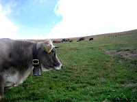 20070920_0032.JPG