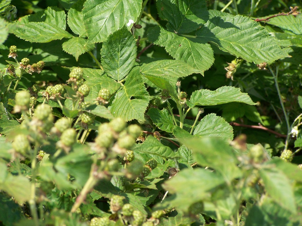 [100_2117%255B4%255D.jpg]