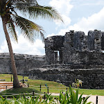 DSC_8640.JPG