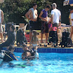 Domingo na AABB068.JPG