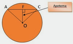 apotema apotema