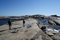 IMG_8331.jpg Photo