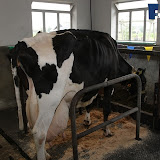neeth 012.jpg