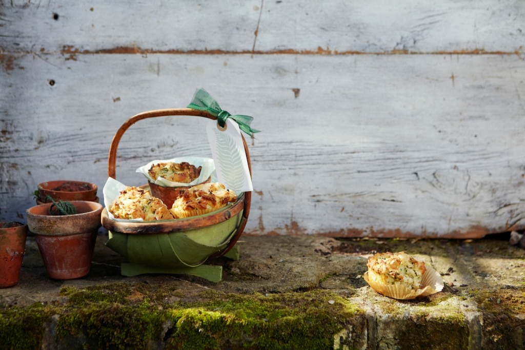 [Muffins017_small4.jpg]