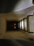 IMG_6484.JPG