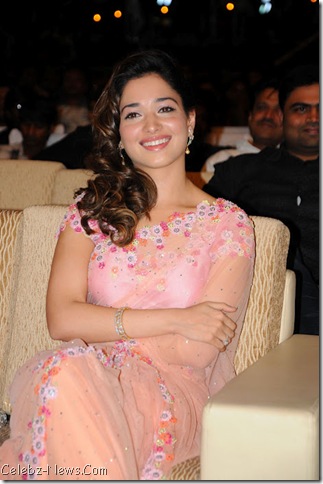 Tamanna Hot Saree Pics 12