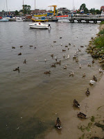 IMG_1678.JPG Photo