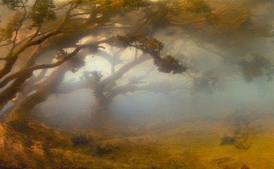 kim keever&acute;s6