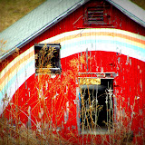 "Rainbow Barn" - copyright Alison McGaughey
