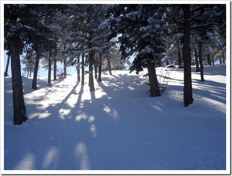 SKArunner_Lookout_Tree_Light