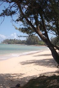 DSC_0625.jpg