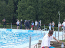 P7050915.JPG