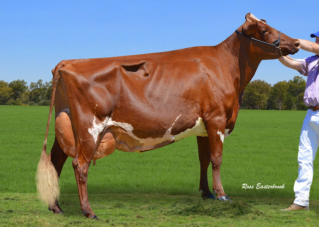 Glencliffe Joyce 468.jpg