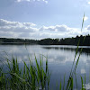dsc03011.jpg