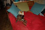 2009 Dec 09 001.JPG
