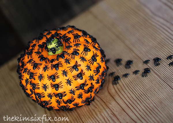 Spiders crawling on pumpkin
