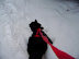 Playing in the Snow