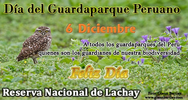 [Guardas%255B5%255D.jpg]