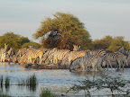 Etosha Nationalpark