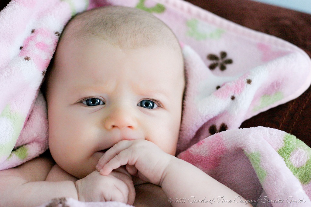 [IMG_1680web%255B4%255D.jpg]