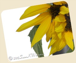 20120726_104 20120726_104